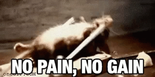 no-pain-no-gain-workout.gif
