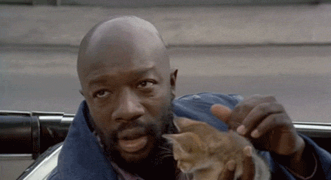 tumblr_mxq8af8uv01qedb29o1_r1_500.gif