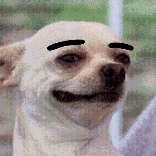 giphy.gif