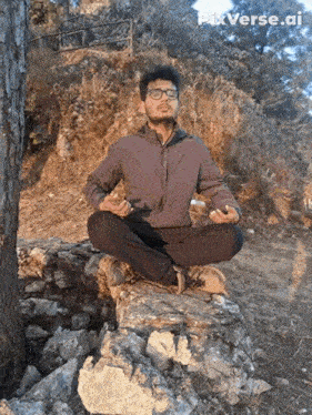 uppi1412-fly.gif