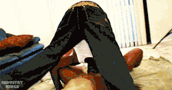 tumblr_mwc8blirFB1sy7uzvo1_250.gif