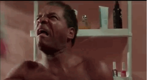 giphy8.gif