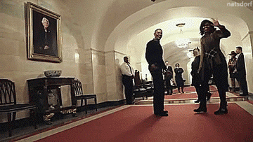 tumblr_og1dgcqEsk1vb46leo4_400.gif