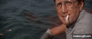XBZO5F.gif