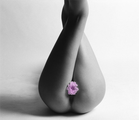 tumblr_mb81vwJgoq1rwhxkwo1_500.jpg