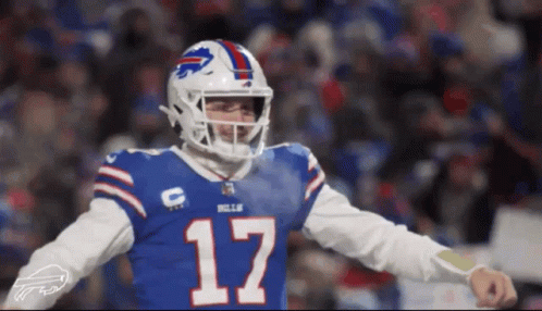 billsmafia-bills.gif
