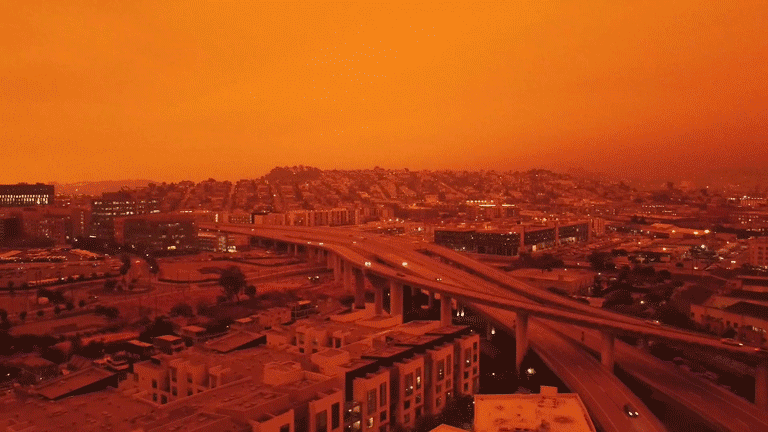 Orange2.gif