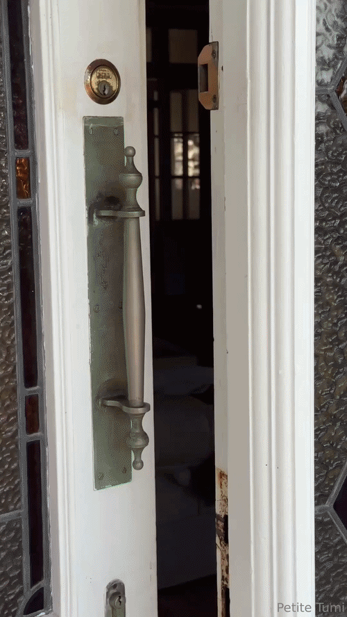 15jglupl06sh1.gif