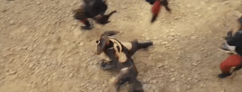 tumblr_p9aaqujAqE1v6w3juo2_500.gif