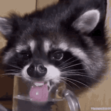 gsudeoc416a61.gif