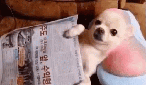relaxing-chill.gif