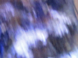 03.gif