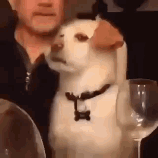 eyeroll-dog.gif