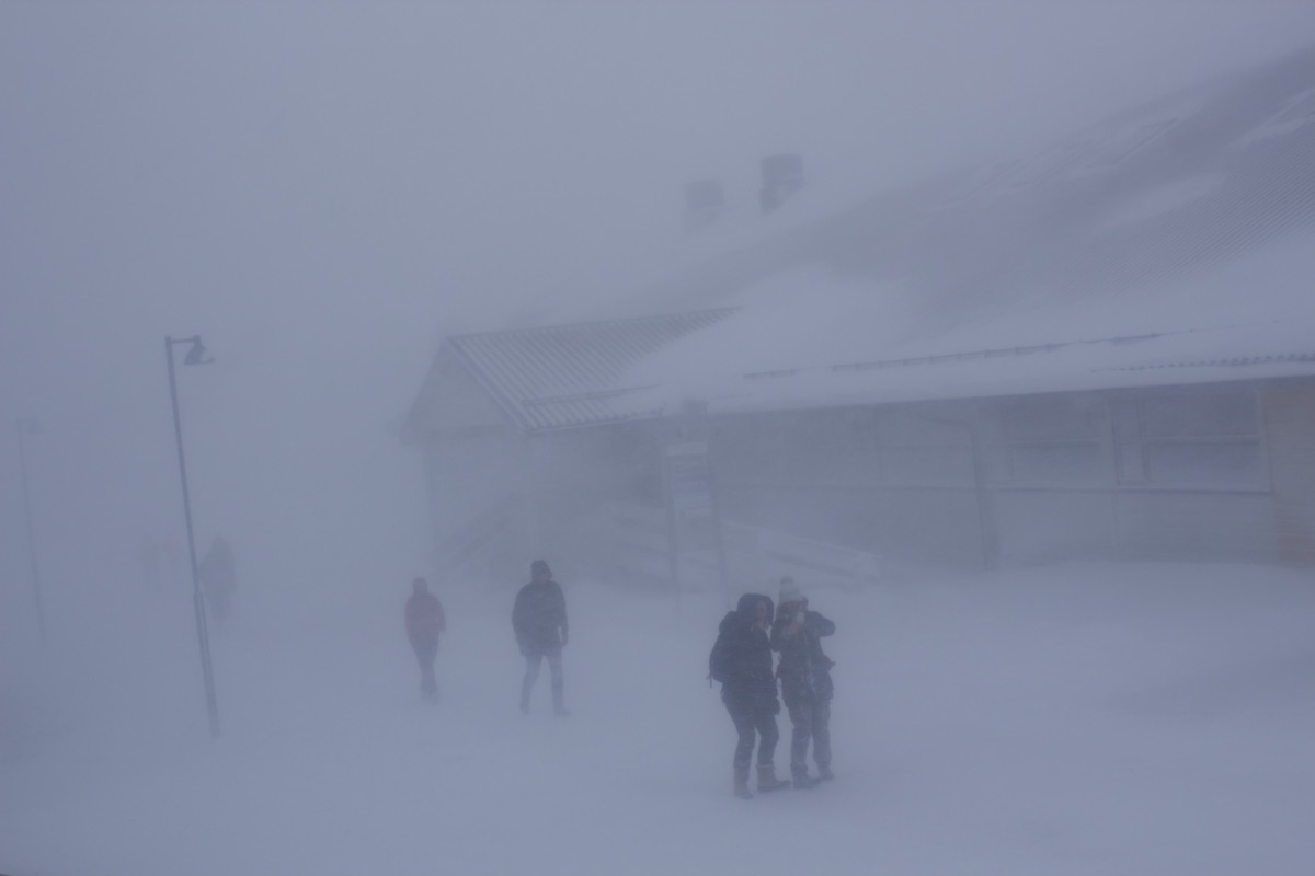 whiteout.jpg