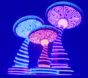 shrooms-3.gif