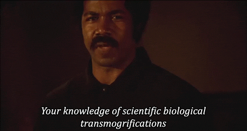 tumblr_nshqmdgWq71qdr81fo1_500.gif