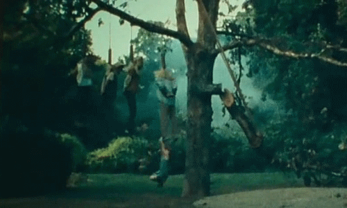 tumblr_mlto7cBaYI1snnccgo1_500.gif