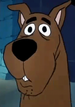 tumblr_inline_n77vknImtQ1s9979a.gif