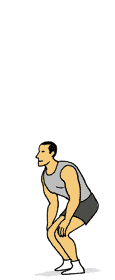 plyometrics_squat_jump.gif