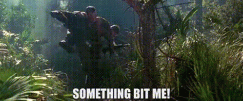 forrest-gump.gif