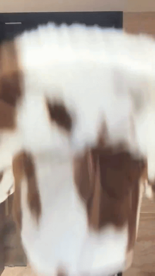 1xzk2exqj8nh1.gif