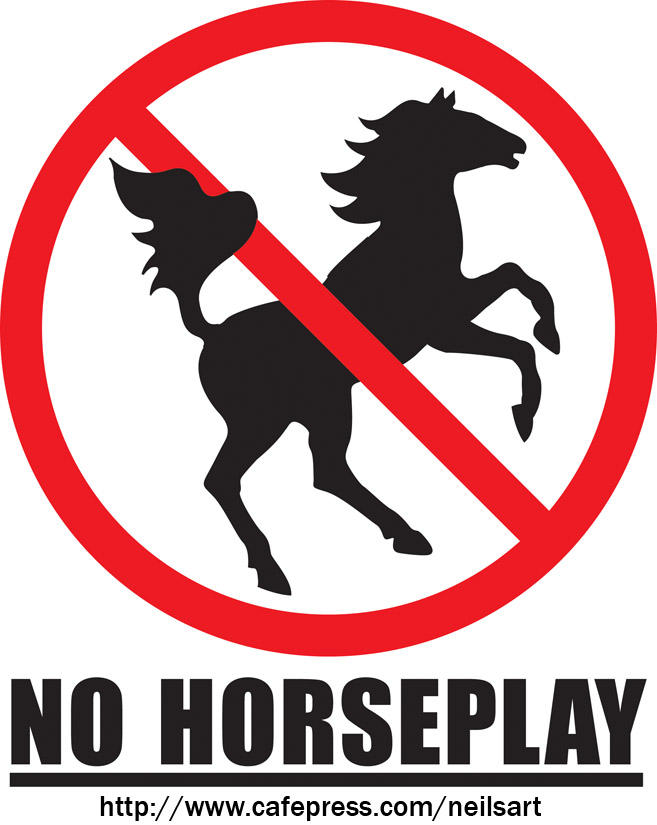 no_horseplay_by_evilneil.jpg