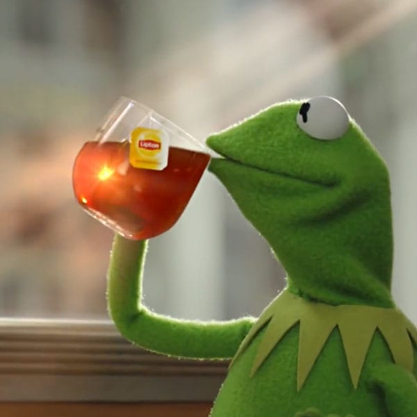 kermit1.jpg
