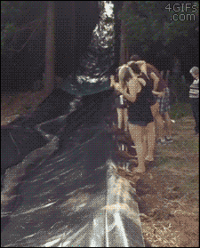 Water-slide-raft-dog-fail.gif