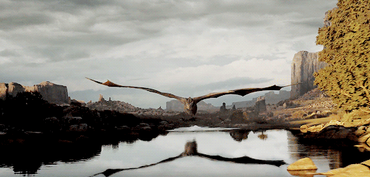 tumblr_ouaowaufJK1r3i2gwo2_540.gif