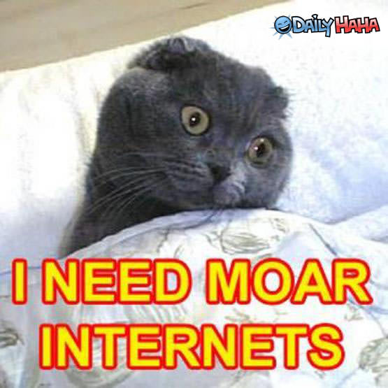 moar_internets.jpg