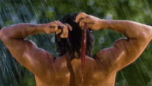 tenor.gif