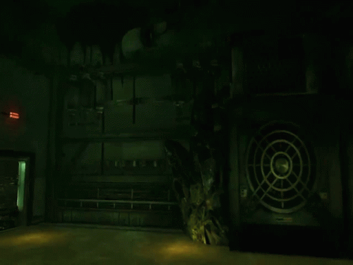 tumblr_mf1804KJYL1r7m32co2_500.gif