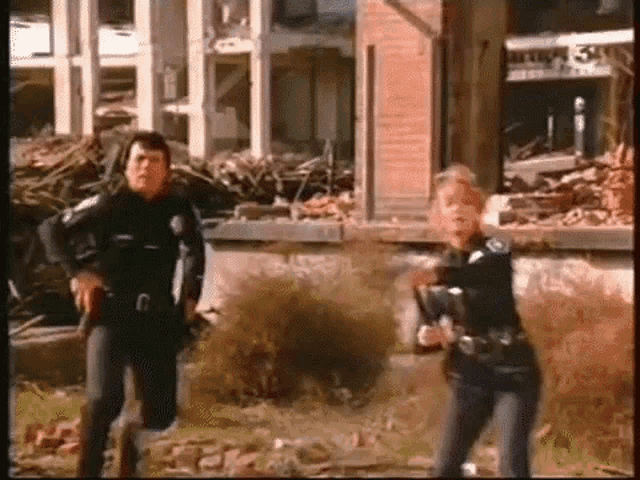 hooker-police.gif