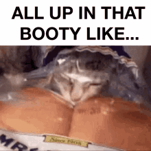 booty-butt.gif