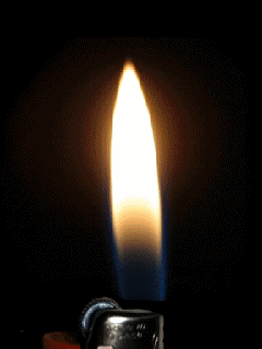 tumblr_ll9gp3zhzK1qf7reyo1_250.gif