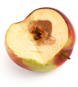 13-rotten-apple.jpg