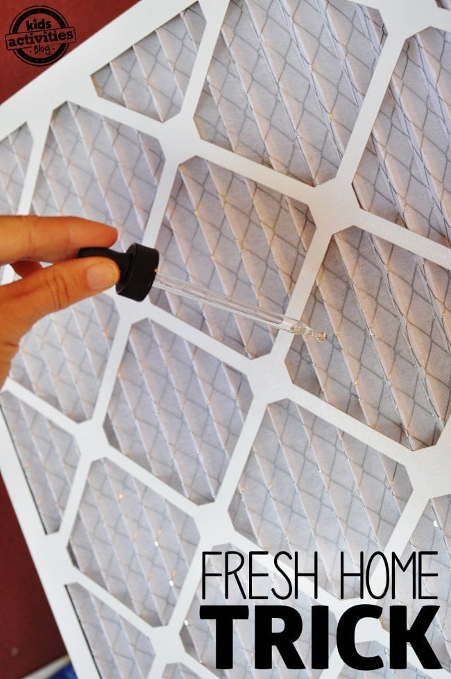 chemical free air freshener