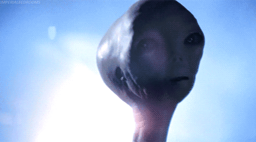25228f1b108bd7f949347f19646b2e1c.gif