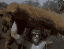 hulk-funny.gif