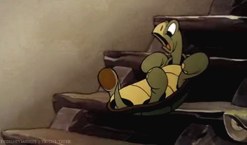 turtle-fall.gif