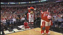 tumblr_oa0mi2k42g1vvhmjjo7_250.gif