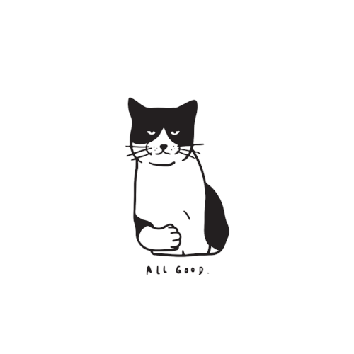 89185.gif
