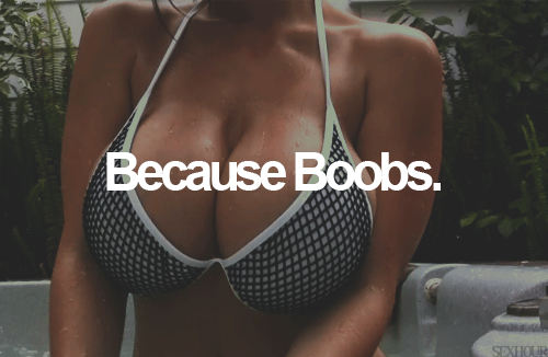 becauseboobs.gif