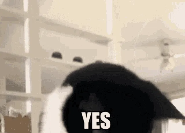 DeE1X.gif