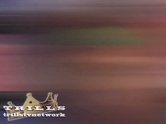 4069574049_3f3e8923a0_o.gif