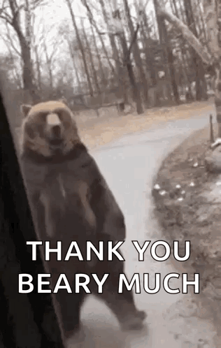 kaden-bear.gif
