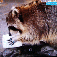 200w.gif