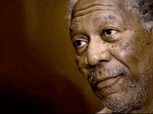 morgan-freeman-he%27s-right-you-know.gif
