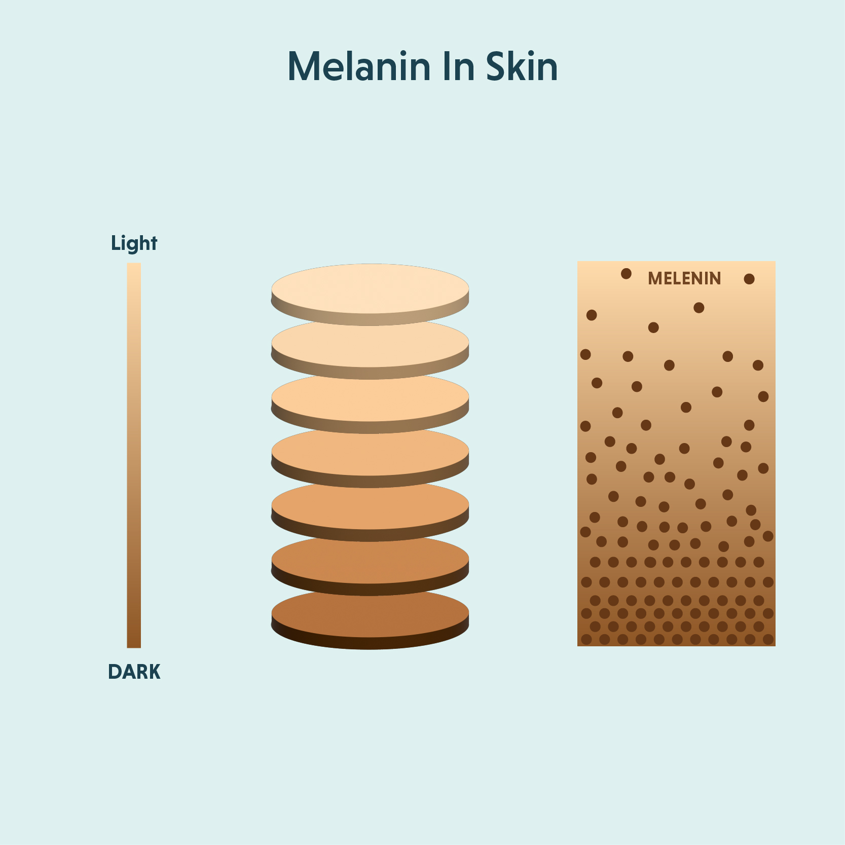 What-Is-Melanin.jpg