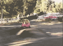 tumblr_n5q9sePiW01rg3qklo1_250.gif